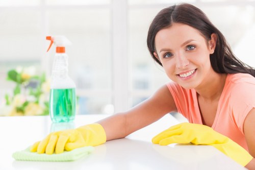 Professional pet stain removal on a carpet in an Ilford home