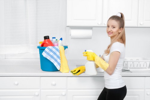 Low-carbon van used for sustainable carpet cleaning service