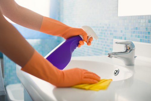 Supplier audit and due diligence process for carpet cleaning partners