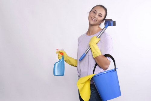 Regular cleaning support for a family house in Ilford