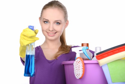 Upholstery and carpet stain treatment for homes and businesses