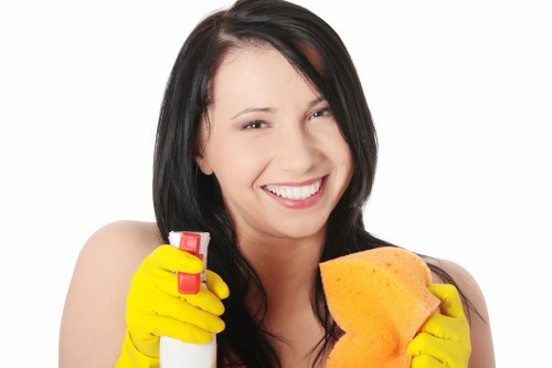 Trained carpet cleaner inspecting a room before work