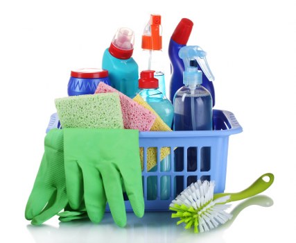 Deep cleaning of a sofa affected by pet stains and smells