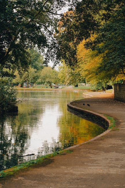 A scenic view of Valentines Park in Ilford featuring a paved walking path along the edge of a calm, reflective lake. The path curves gently around the water, bordered by lush trees with green and golden leaves, indicating a transition into autumn. The water surface shows some ripples and reflections of the surrounding trees, with a few ducks or waterfowl visible in the distance. The park appears clean and well-maintained, with no visible litter or debris, and the overall atmosphere is peaceful and inviting. As part of a comprehensive domestic cleaning or surface cleaning discussion, the image emphasizes outdoor hygiene and maintenance, similar to the cleaning guides provided by Ilford Carpet Cleaning on their website.