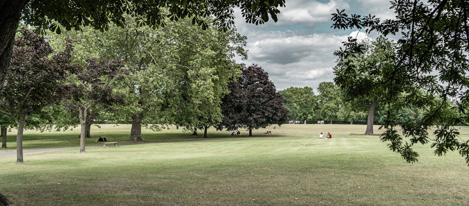 A wide view of Valentines Park in Ilford featuring a well-maintained grassy area with a mix of deciduous trees, some with dark purple leaves and others with green foliage. The scene is illuminated by natural daylight with soft cloud cover overhead. In the background, a few people are sitting on benches and walking along pathways, surrounded by lush greenery. The image reflects a clean, open outdoor space ideal for outdoor activities and relaxation, exemplifying the importance of regular custodial care and surface cleaning in maintaining such parks. This scene aligns with the principles of surface cleaning, sanitisation, and overall hygiene as highlighted in the Valentines Park upholstery cleaning guide for Ilford flats, ILFORD, by Ilford Carpet Cleaning.
