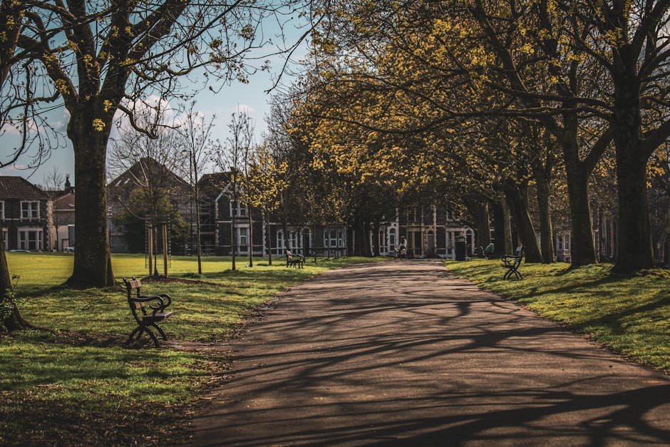 A scenic view of Valentines Park in Ilford featuring a paved walking path along the edge of a calm, reflective lake. The path curves gently around the water, bordered by lush trees with green and golden leaves, indicating a transition into autumn. The water surface shows some ripples and reflections of the surrounding trees, with a few ducks or waterfowl visible in the distance. The park appears clean and well-maintained, with no visible litter or debris, and the overall atmosphere is peaceful and inviting. As part of a comprehensive domestic cleaning or surface cleaning discussion, the image emphasizes outdoor hygiene and maintenance, similar to the cleaning guides provided by Ilford Carpet Cleaning on their website.